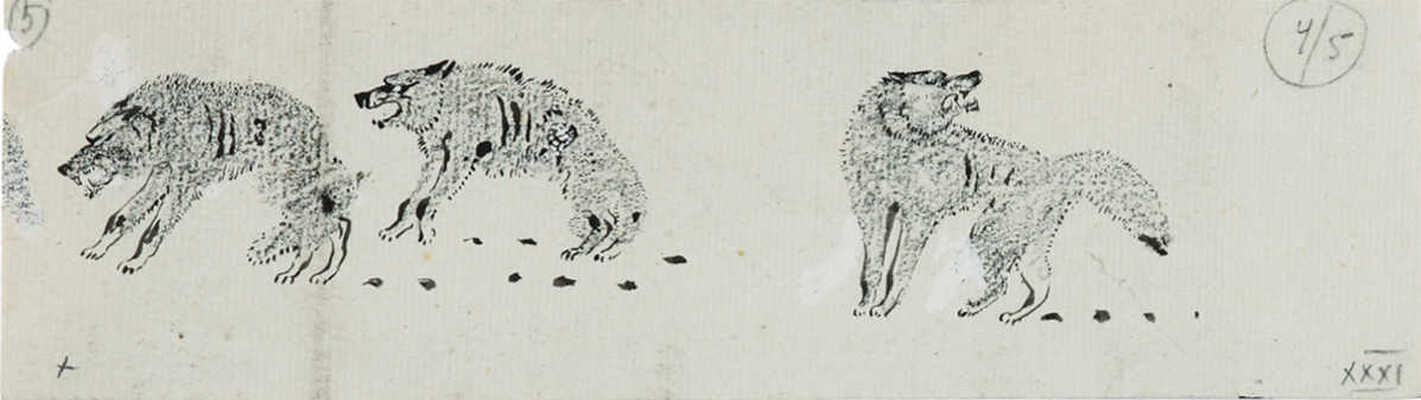 Курдов Валентин Иванович. Волки. Лот из трех иллюстрация к книге В. Бианки «Повести и рассказы о природе»